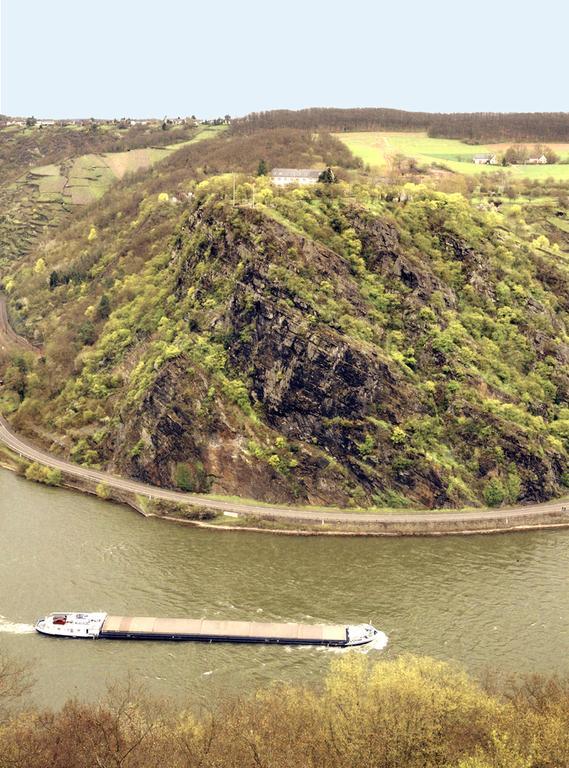 Rheinperle Otel Sankt Goar Dış mekan fotoğraf