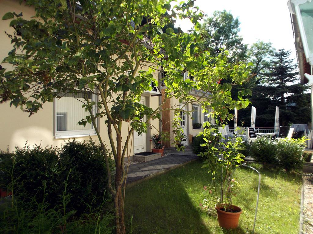 Rheinperle Otel Sankt Goar Dış mekan fotoğraf