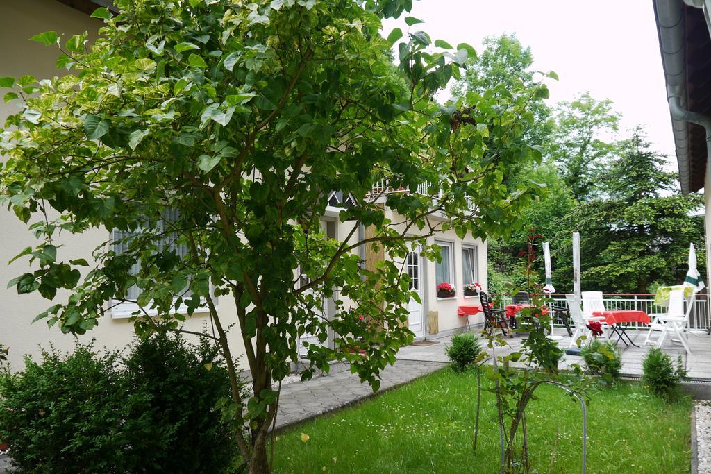 Rheinperle Otel Sankt Goar Dış mekan fotoğraf